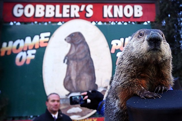Groundhog's Day Groundhog's Day