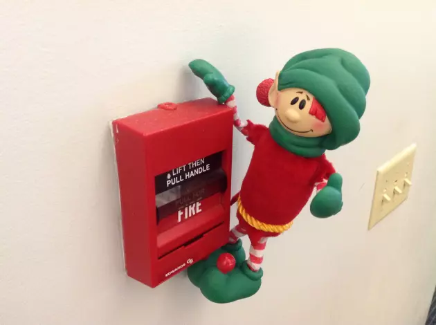ELF 23