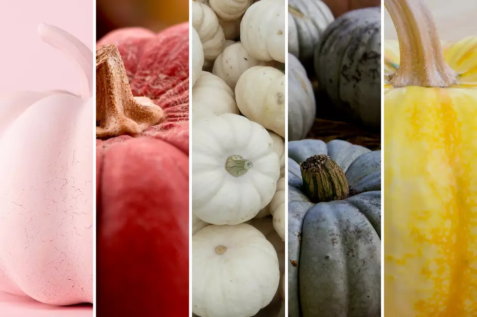 7 Pumpkin Color Meanings You Should Know Before Halloween This Year