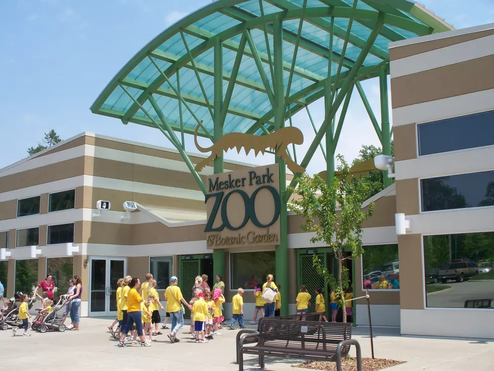 Family Fun Day at Mesker Park Zoo – July 25th
