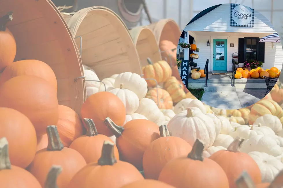 Pumpkin & Pickle Festival Coming To Kentucky & We’ve Got All The Yummy Details