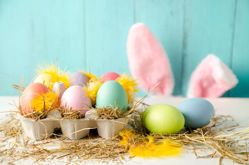 Easter and The Bunny What’s the Connection?
